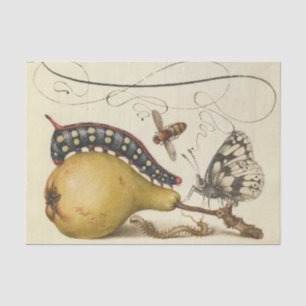 Hoefnagel Vintage Birne & Insekten 1500er Renaissa Seidenpapier
