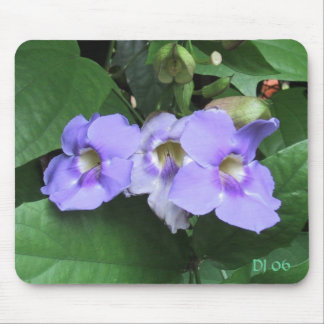 Hof-Blumen, DJ 06 Mousepad