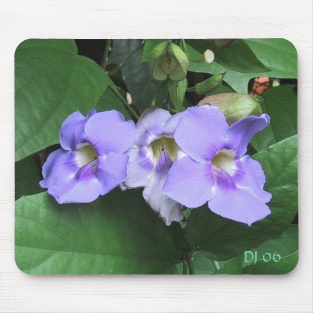 Hof-Blumen, DJ 06 Mousepad (Vorne)