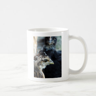 Hof-Mischlingsküken Kaffeetasse