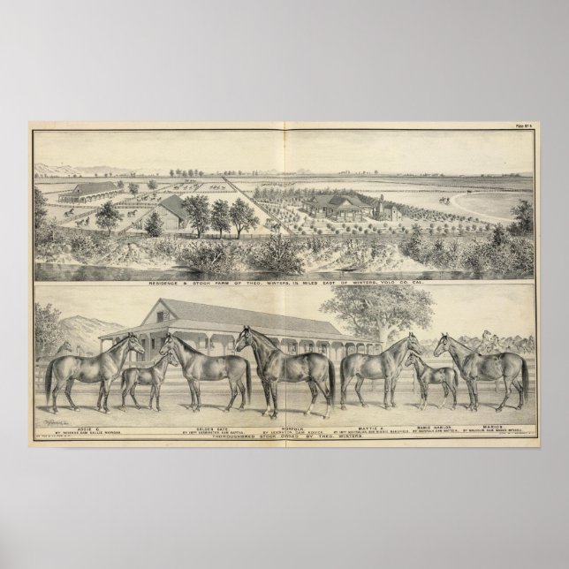 Hof T Winters Poster (Vorne)