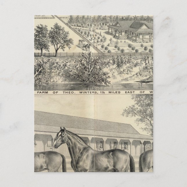 Hof T Winters Postkarte (Vorderseite)