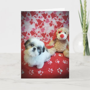 **HOFFE U SAGT JA ZU MEINER ANFRAGE** VALENTINE KARTE