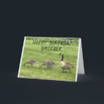 HOFFEN SIE, DASS IHR BIRTHTAG NUR "KÜCHE" BROTHER  KARTE<br><div class="desc">DIESE GEESE SICHER KANN NICHT WARTEN,  IHRE BROTHER "GLÜCKLICH BIRTHTAG" ZU WÜNSCHEN UND DANKE IHNEN FÜR DIE BEWOHNUNG VON EINER DER ACHTEN STÄDTE~</div>