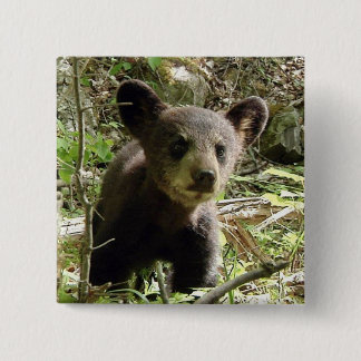 Hoffen Sie den Bärn-Knopf Button