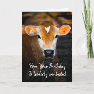 Hoffentlich ist Dein Geburtstag absolut fantastisc Karte