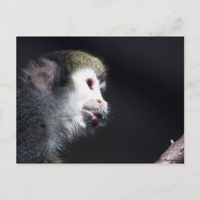 "Hoffentlich" Postkarte (Vorderseite)