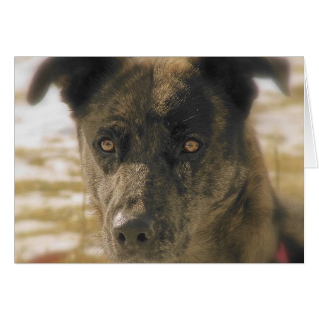 Hoffnung (Vorderseite (Horizontal))