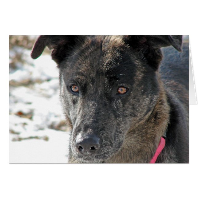 Hoffnung (Vorderseite (Horizontal))