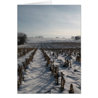 Hoffnung entspringt ewig