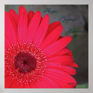 Hoffnung entspringt ewig… poster