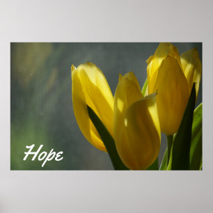 Hoffnung - Gelbe Tulip Blume Poster