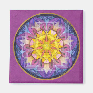 Hoffnung Magnet