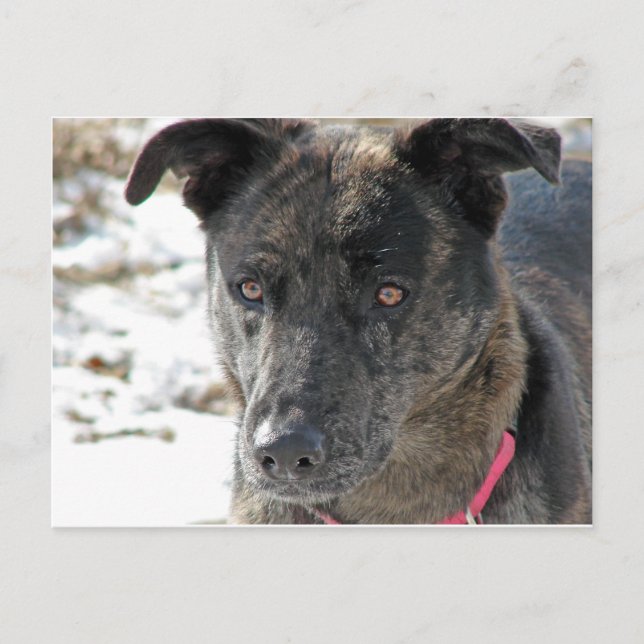 Hoffnung Postkarte (Vorderseite)