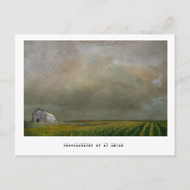 Hoffnung Postkarte (Vorderseite)