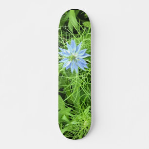 Hoffnung Skateboard