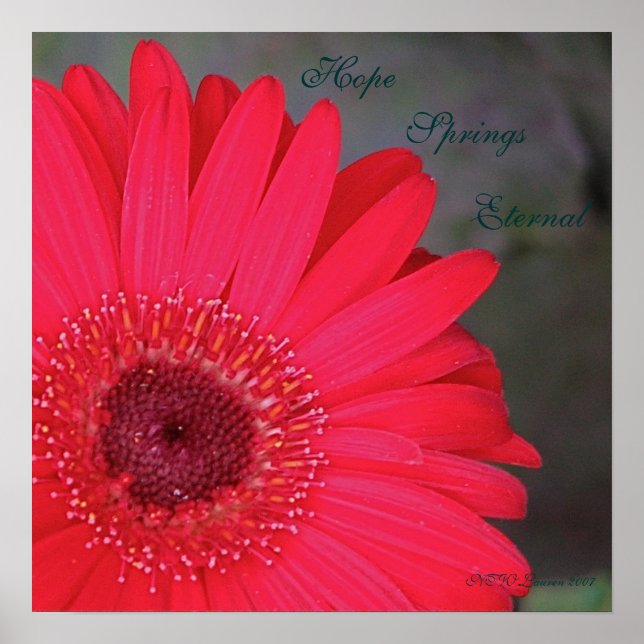 Hoffnung Springs Ewige... Poster (Vorne)