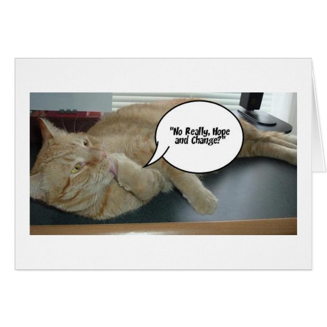 Hoffnung und Wandel/Katzen Spaß (Vorderseite (Horizontal))