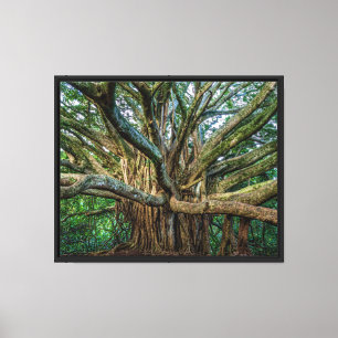 Hoffnung und Widerstandskraft - Pipiwai Banyan Tre Leinwanddruck