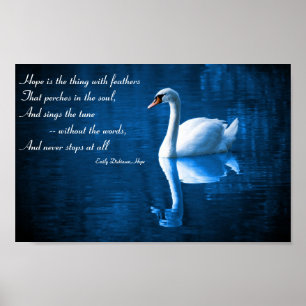 Hoffnung, weißer Schwan auf blaues Wasser-Plakat Poster