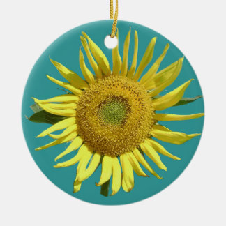Hoffnungs-Weihnachtsverzierung - rund Keramikornament