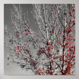 Hoffnungsschimmer Poster