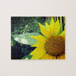 Hoffnungsvolle Sonnenblume Entspannen Selbstpflege