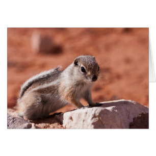 Hoffnungsvoller Ausblick