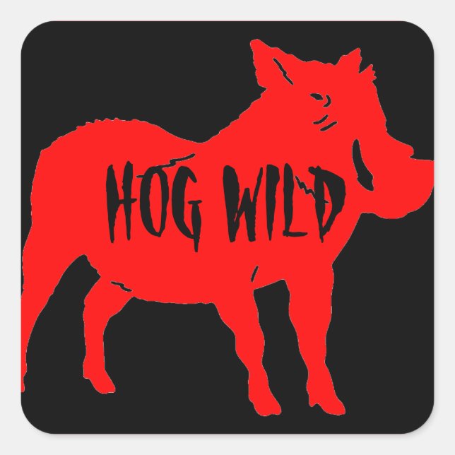HOG WILD HELMET STICKERS PKG VON 20 (Vorderseite)