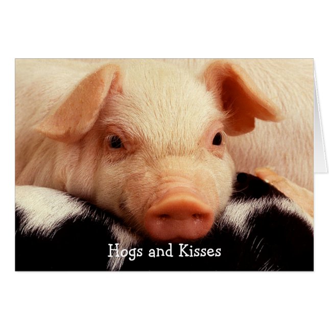 Hogs und Kisses (Vorderseite (Horizontal))