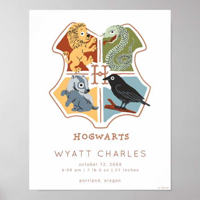 HOGWARTS™ Cartoon Baby Birth Stats Poster (Vorne)