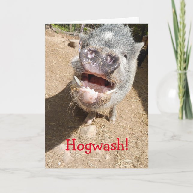 Hogwash! Du siehst nicht so alt aus, wie du Mini P Karte (Vorderseite)
