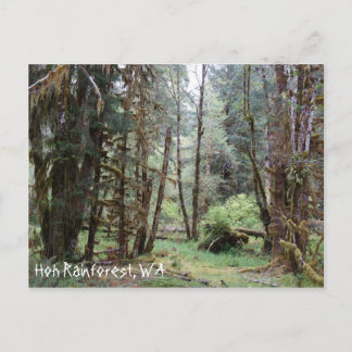 Hoh Rainforest, Washington Staat, Postcard Postkarte