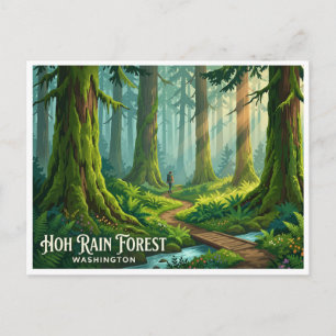 Hoh-Regenwald Forks Washington Postkarte