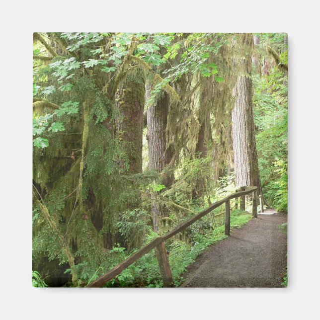 Hoh Valley Rain Forest Magnet (Vorne)