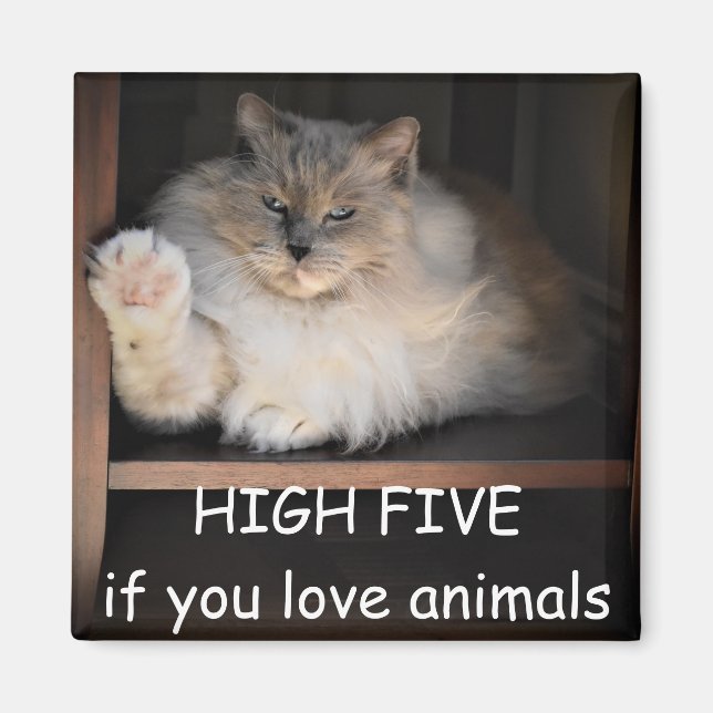 HOHE FÜNF, wenn Sie Tiere Liebe haben, Magnet (Vorne)