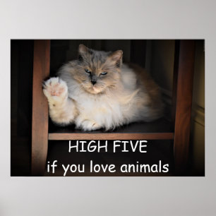 HOHE FÜNF, wenn Sie Tiere Liebe haben, Poster