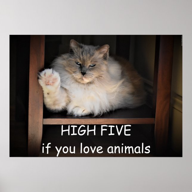 HOHE FÜNF, wenn Sie Tiere Liebe haben, Poster (Vorne)