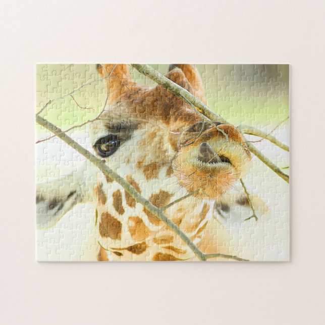 HOHE HOFFNUNG 11x14 INCH (Horizontal)