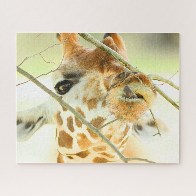 HOHE HOFFNUNG 16x20 INCH (Horizontal)