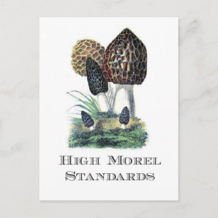 Hohe Morel-Standards Postkarte