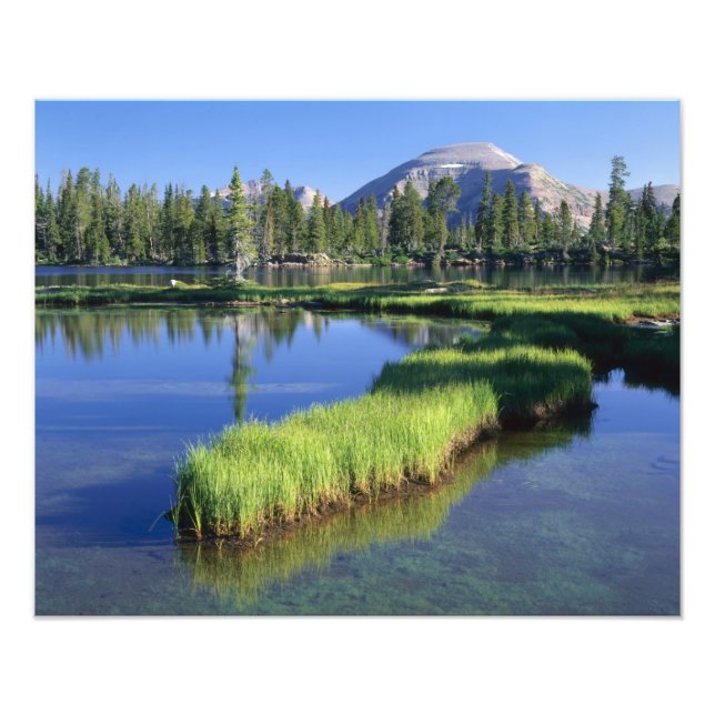 HOHE UINTAS WILDERNESS, ABER, US, FOTODRUCK (Vorne)