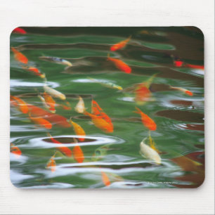 Hohe Winkelsicht der koi Mistfische in einem Teich Mousepad