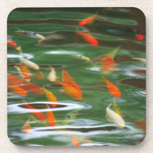 Hohe Winkelsicht der koi Mistfische in einem Teich Untersetzer