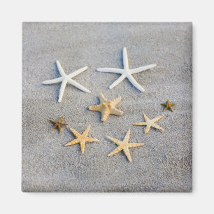 Hohe Winkelsicht eines Starfish auf dem Strand Magnet