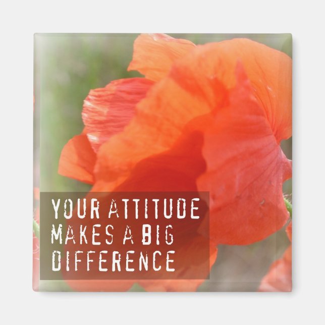 Höhenunterschied Poppy Magnet (Vorne)