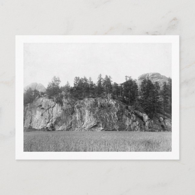 Höhepunkt der Unruhe im Schwarzen Berg Fotograf Postkarte (Vorderseite)