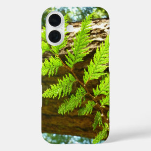 Höhepunkte eines botanischen Rotwaldbaums iPhone 16 Hülle