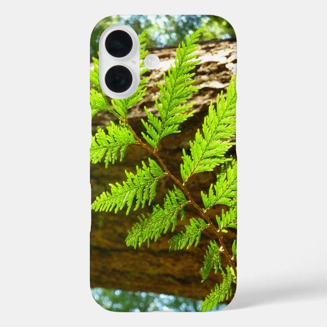 Höhepunkte eines botanischen Rotwaldbaums iPhone 16 Hülle (Rückseite)