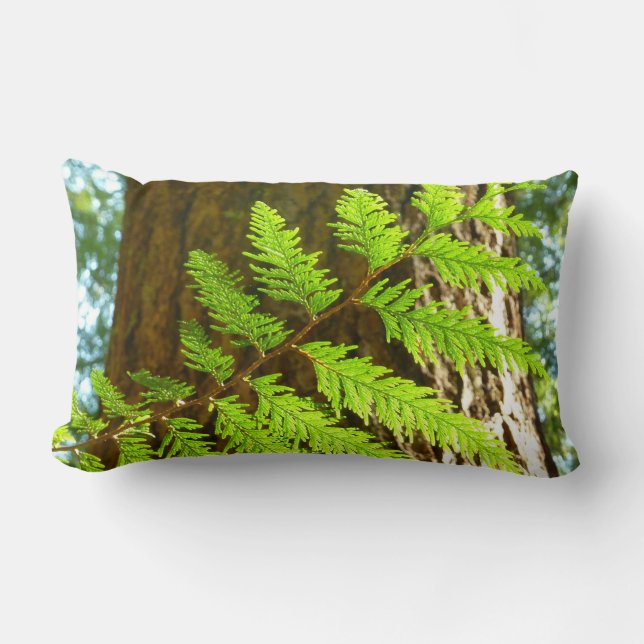 Höhepunkte eines Redwood Tree Botanical Lendenkissen (Vorderseite)